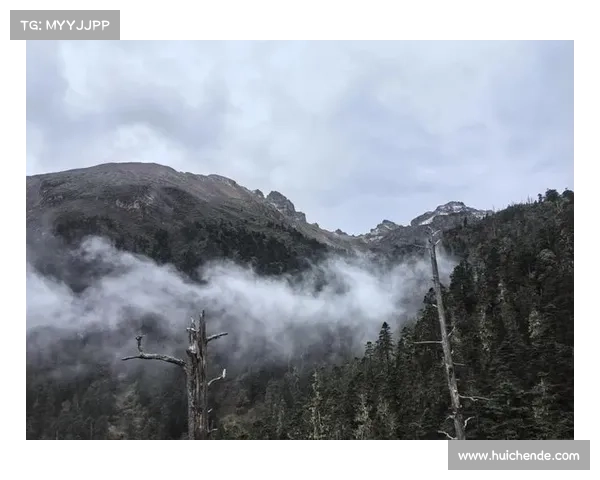 冬日湖畔秘境探访：在寒冷中享受一片宁静与自然的静谧时光