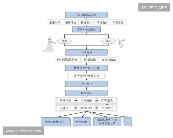 基于DK宏技术的应用研究与实施步骤全面解析