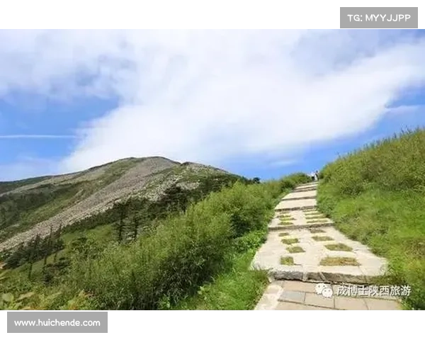 朱雀天境入境攻略:掌握七大技巧助你顺利突破修炼瓶颈 朱雀天境入境攻略:掌握七大技巧助你顺利突破修炼瓶颈