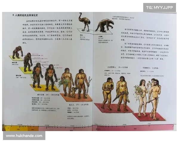 从历史视角探究英国足总的形成演变及其对现代足球制度的深远影响